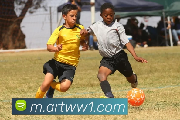 奖项证书